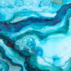 Meet your Posher, Verona